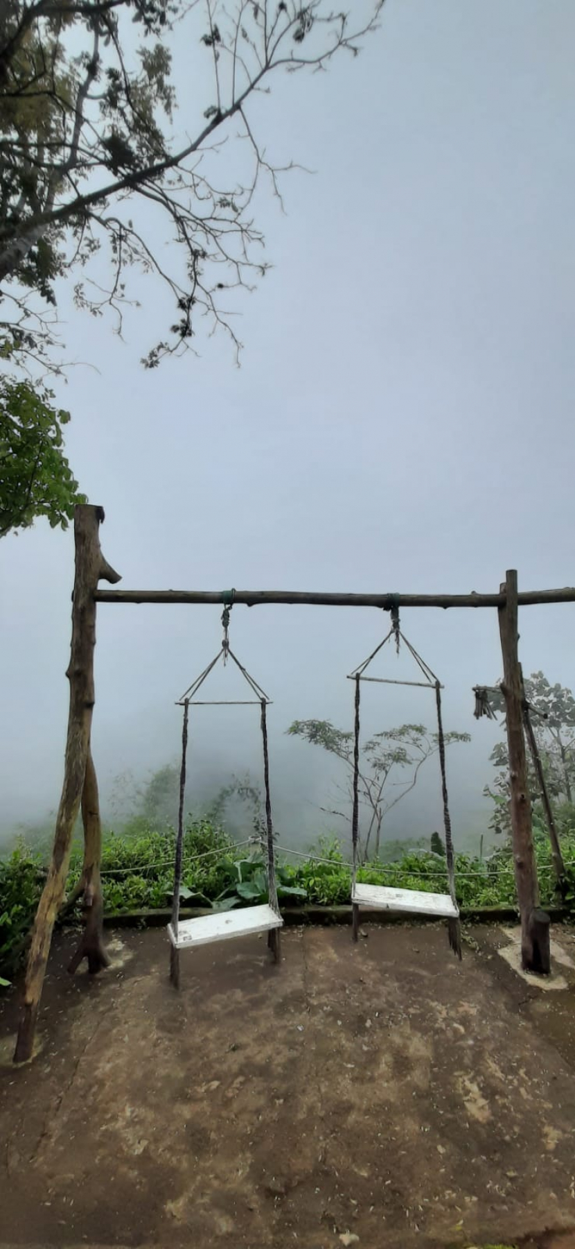 Merasakan kabut pagi hari di Bukit Ngisis, Yogyakarta yang bernuansa mistis