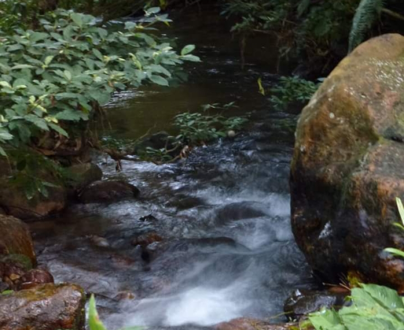 Batu besar tempat terlindung untuk buang hajat di hutan Pegunungan Meratus, Kalimantan Selatan (foto: priyantono oemar).