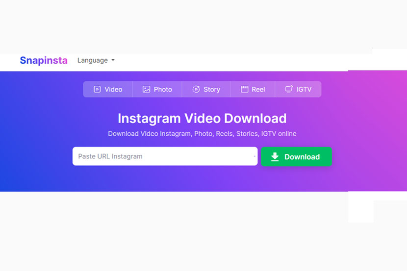 Screenshot laman web Snapsinta, situs download video IG (Instagram)
