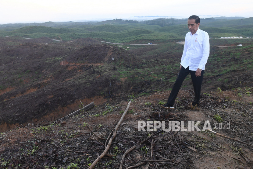 Presiden Joko Widodo meninjau lokasi rencana ibu kota baru di Sepaku, Penajam Paser Utara, Kalimantan Timur, Selasa (17/12/2019). 