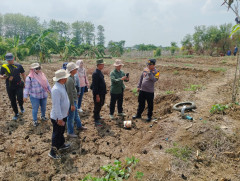 Dukung Ketahanan Pangan, Polsek Gantar Cek Sumur Bor di Areal Persawahan