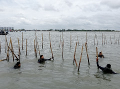 Sudah Lewat Waktu, Kiara Minta Pembuat Pagar Laut Diungkap dan Ditindak Secara Pidana