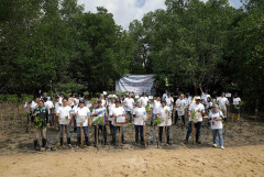 3000 Bibit Pohon Bakau Ditanam di KBA Tua Bakau Batam
