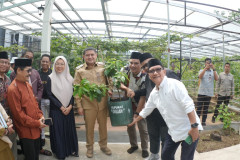 Gerakan Urban Farming: Dari Bukit Baruga Menyapa Indonesia