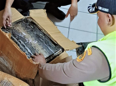 Dua Boks Kulit Ular dan Biawak Asal Pekanbaru Gagal Diselundupkan ke Surabaya