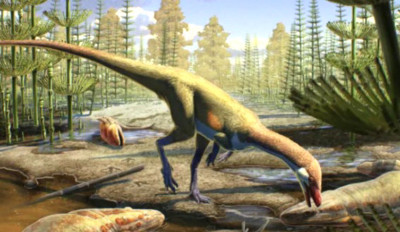 Dino Mini Seukuran Ayam Berusia 230 Juta Tahun Adalah Dinosaurus Tertua yang Pernah Ditemukan