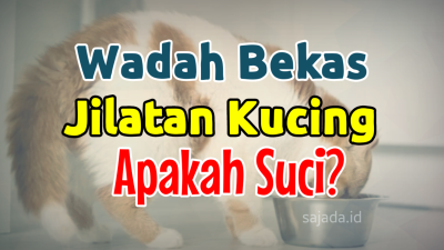 Apakah Makanan yang Dijilat Kucing Termasuk Najis?