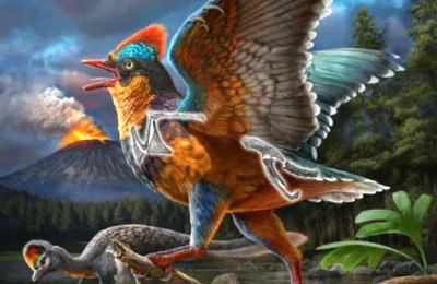 Penemuan Fosil Jurassic di Cina Mengungkap Evolusi Burung Purba