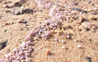 Ilmuwan Pecahkan Misteri Pantai Pink di Laut Merah