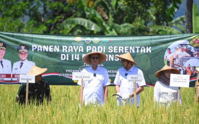 Jaga Ketahanan Pangan, Sukabumi Maksimalkan 1.200 Hektare Lahan Pertanian