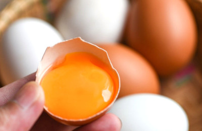 Mengapa Telur Ayam Memiliki Warna Berbeda-beda?