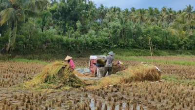 Koperasi Merah Putih dan Bayang-Bayang Kegagalan BUMDes
