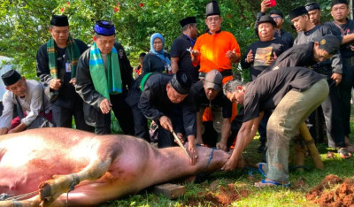 Lebaran Depok, Tradisi Motong Kebo Andil, Warisan Budaya yang Dilestarikan