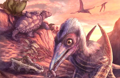 Para Ilmuwan Temukan Pterosaurus Seukuran Burung Camar di Gurun Arizona