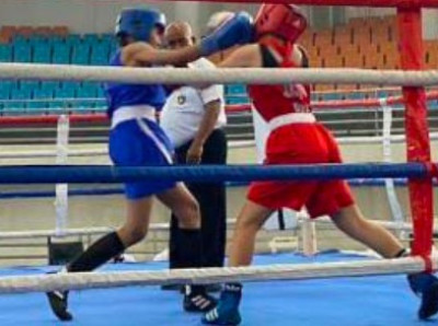 Semangat Hari Kemerdekaan ke 80 RI, Pertina Kabupaten Bogor Gelar Open Tournament Sparing Tinju