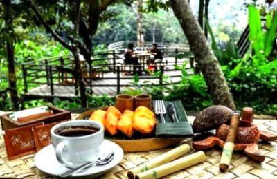 Kopi Pagi Dapat Memengaruhi Transfusi Darah, Kok Bisa?