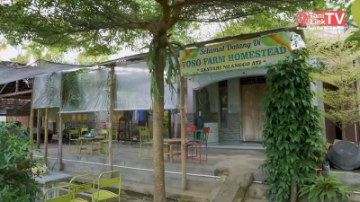 Rahasia Ketahanan Pangan Rumah Tangga ala Yoso Farm