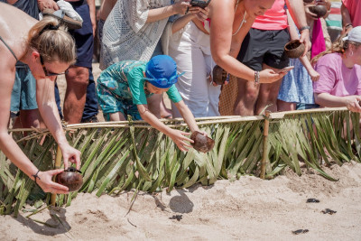 ITDC dan Tenant Kawasan Gelar Turtle Cub Release di The Nusa Dua