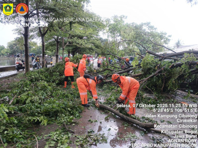 Siaga Hujan Ringan hingga Lebat, Warga Diminta Waspada Cuaca Ekstrem