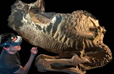 Mumi Dinosaurus Ungkap Rupa Asli Dinosaurus Raksasa Ini