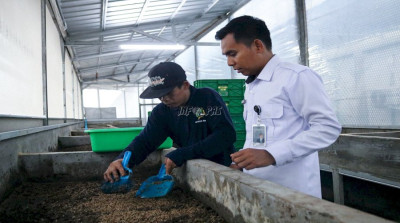 Atasi Sampah Organik, Lapas Kelas IIA Cibinong Panen 300 Kg Maggot