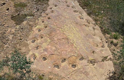 Jejak Kaki Berusia 150 Juta Tahun, Ternyata Dinosaurus Berjalan Pincang