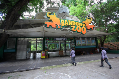 Karyawan Bandung Zoo Patungan Beli Pakan Satwa