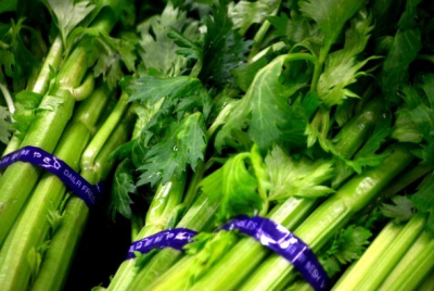 The Health Benefits of Celery: How to Use it as a Flavoring and Medicine – Republika.co.id