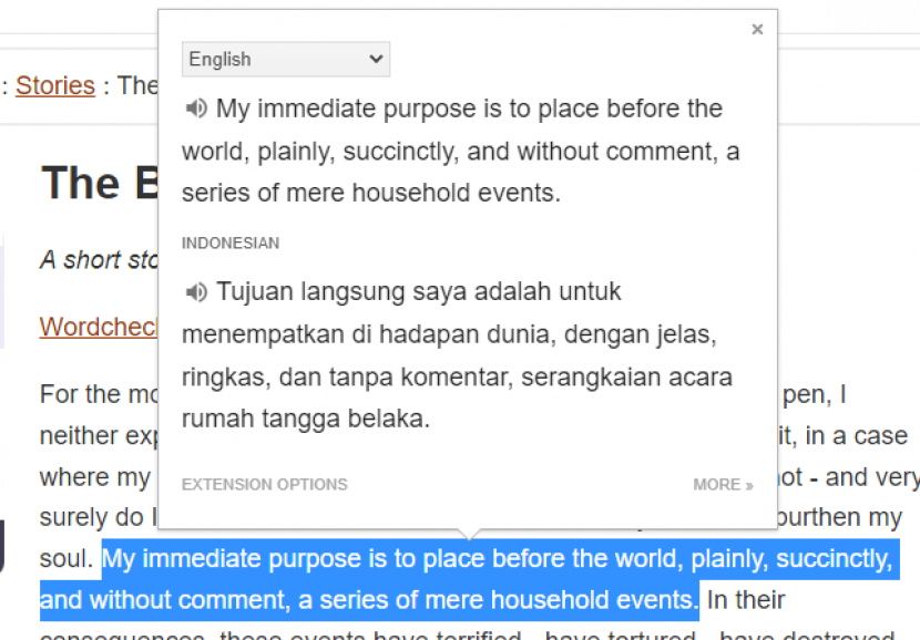 Google Translate Extension. Menerjemahkan kalimat. Foto: Tangkapan layar.