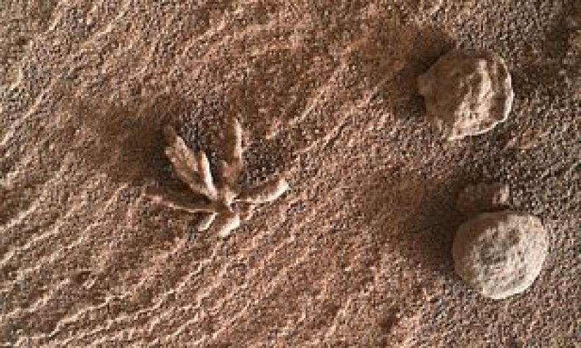 Gambar formasi mineral yang diambil Curiosity. Gambar: NASA